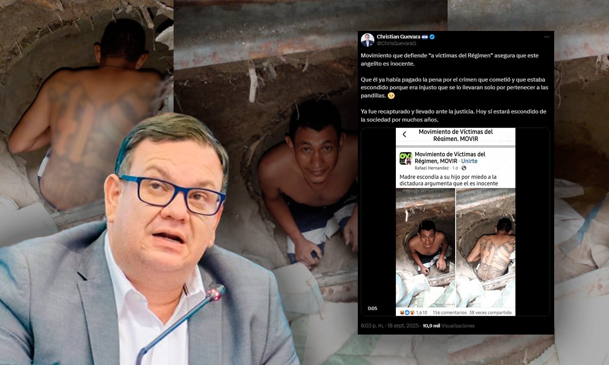 Lawmaker Guevara Uses False Information to Accuse Movir of Defending Gang Members — Diputado Guevara usa información falsa para acusar a Movir de defender pandilleros