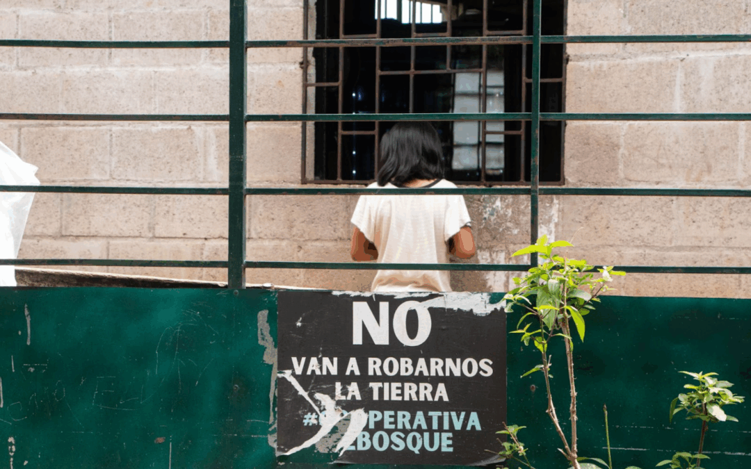 Imprisoned Leaders and a Party to Silence the El Bosque Cooperative — Líderes presos y una fiesta para callar a la Cooperativa El Bosque
