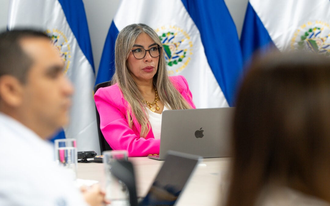 TSE Denies Information on Oversight of Political Parties — TSE niega información sobre fiscalización de partidos políticos