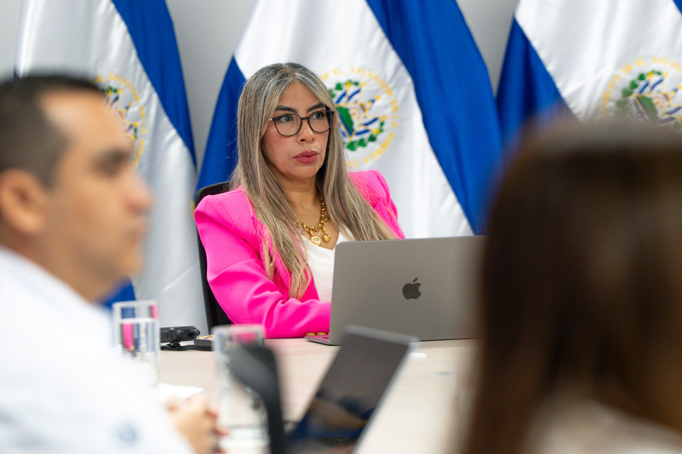 TSE Denies Information on Oversight of Political Parties — TSE niega información sobre fiscalización de partidos políticos