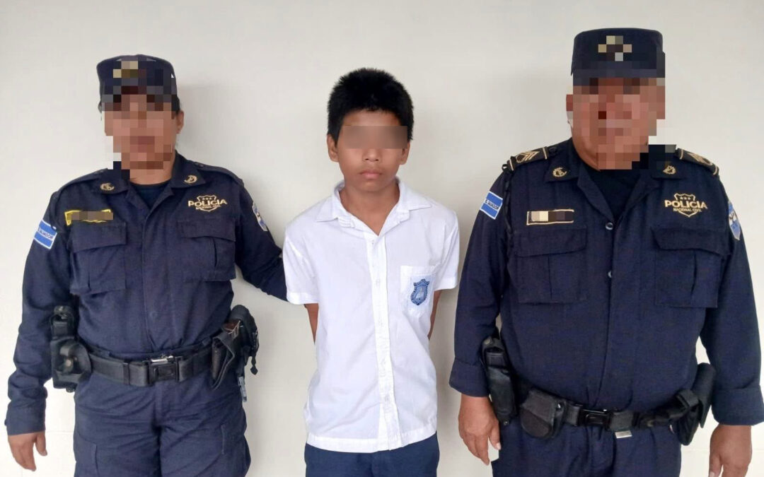 An Eleven-Year-Old Enemy of the State — Un niño de once años enemigo del estado