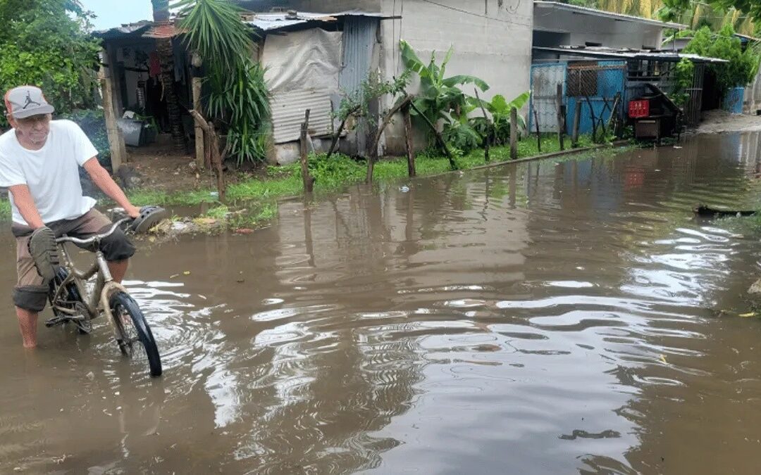 Civil Protection Admits Flooding Caused by Deforestation: “The More Trees Felled and Housing Complexes Built, the Greater the Runoff” — Protección Civil admite que inundaciones se deben a deforestación: “A mayor cantidad de árboles talados y complejos habitacionales construidos, mayor es la escorrentía”