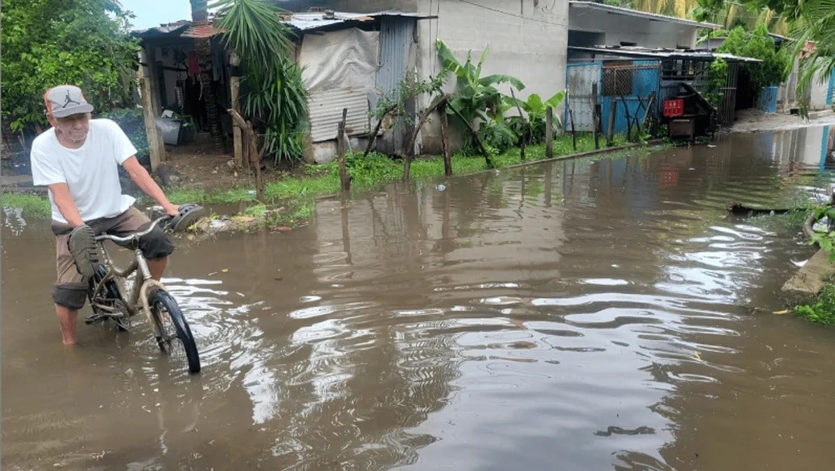 Civil Protection Admits Flooding Caused by Deforestation: “The More Trees Felled and Housing Complexes Built, the Greater the Runoff” — Protección Civil admite que inundaciones se deben a deforestación: “A mayor cantidad de árboles talados y complejos habitacionales construidos, mayor es la escorrentía”