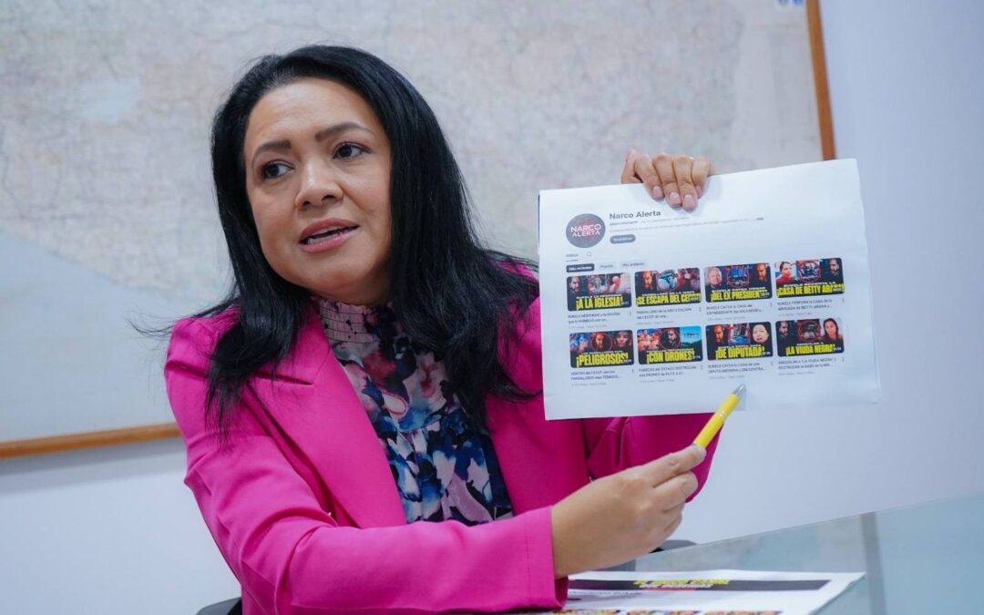 Vamos Secretary-General Denounces YouTube Disinformation Campaign Against Her — Secretaria general de Vamos denuncia desinformación de canales de YouTube en su contra