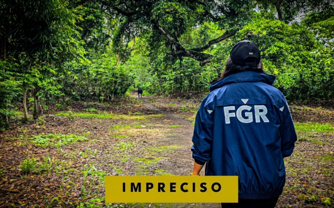 The Imprecise Data Behind the 2025 Homicide Decline — Los datos imprecisos de la disminución de homicidios en 2025