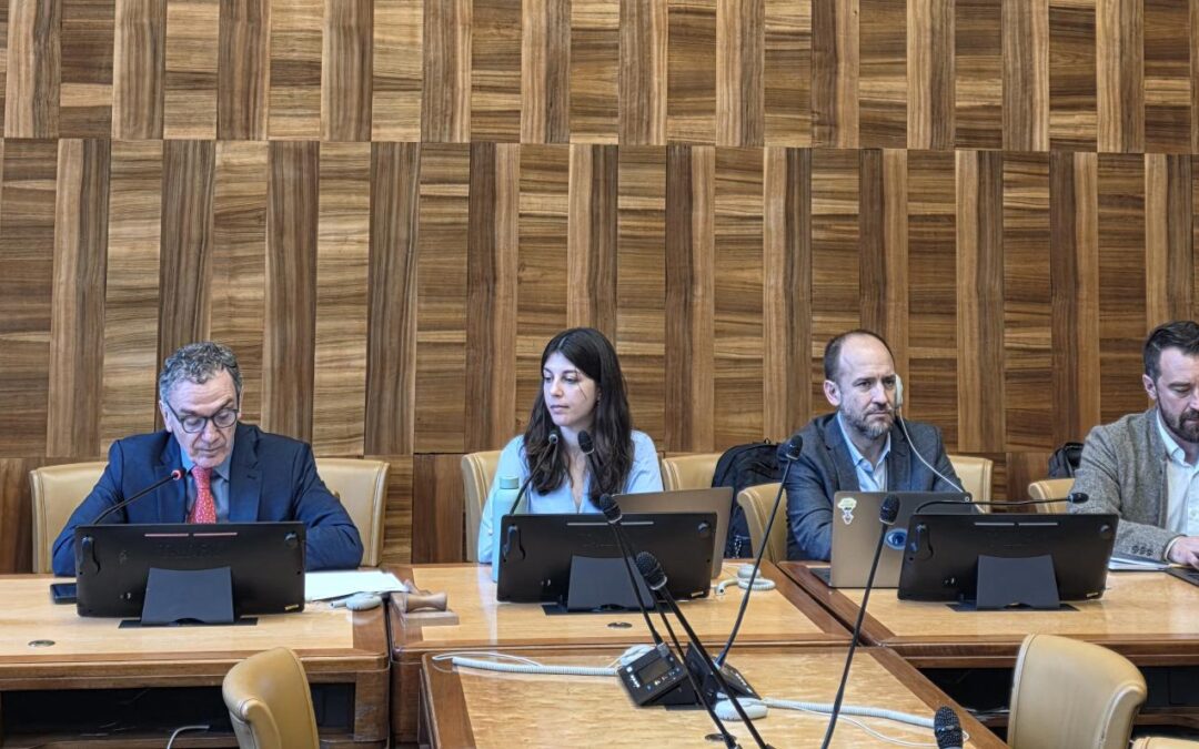 El Salvador: Crimes against humanity within the framework of public security policy — El Salvador: crímenes de lesa humanidad en el marco de la política de seguridad pública