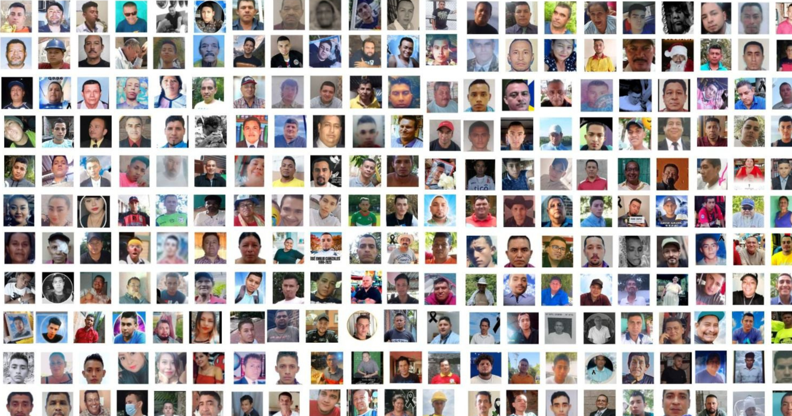 500 adults and four babies dead four years into the state of exception, Legal Humanitarian Aid reports — 500 adultos y cuatro bebés fallecidos a cuatro años del régimen de excepción, registra Socorro Jurídico Humanitario