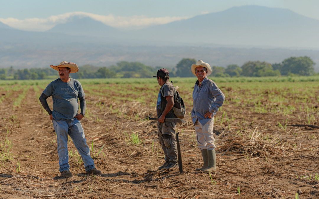 Rising heat in El Salvador puts older adults at risk — Aumento de calor en El Salvador pone en riesgo a los adultos mayores