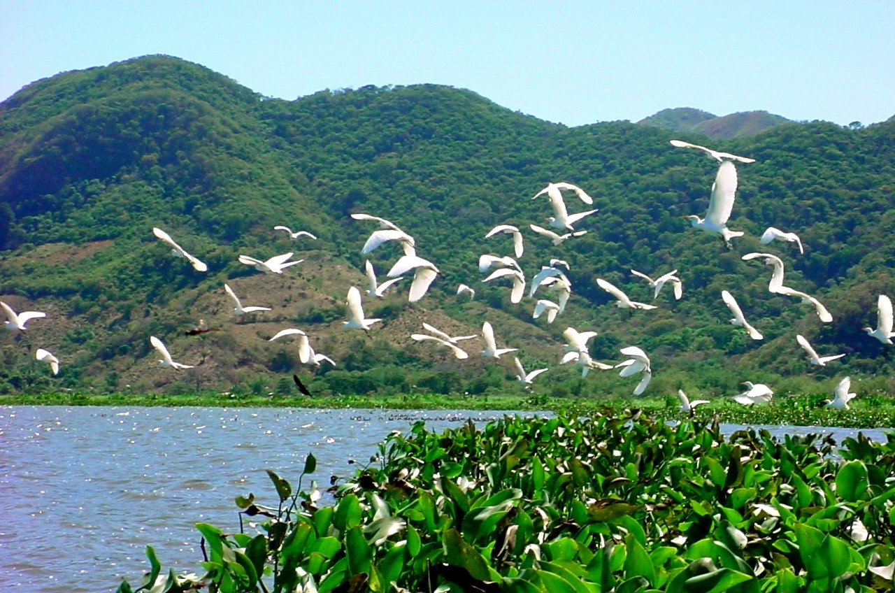 Environmentalists Denounce Criminalization Over Defense of Natural Resources Against Unchecked Exploitation — Ambientalistas denuncian criminalización por defensa de los recursos ante explotación indiscriminada