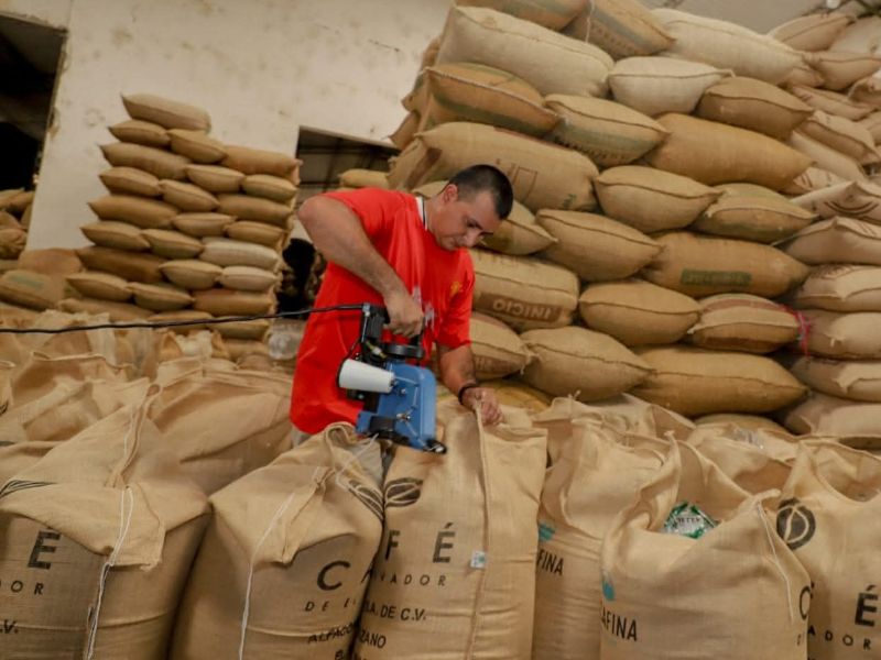 Drought Will Reduce Salvadoran Coffee Production by Up to 44,000 Bags, According to the U.S. Department of Agriculture — Sequía disminuirá producción de café salvadoreño hasta en 44,000 sacos, según Departamento de Agricultura de EE.UU.