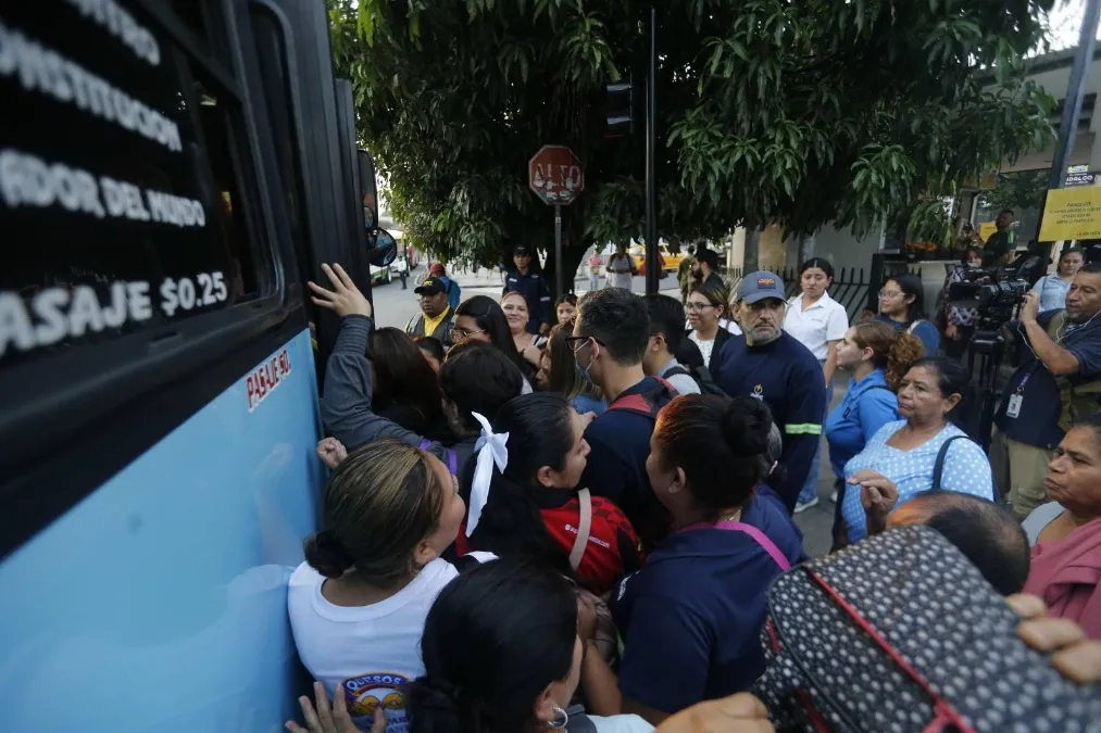 848 buses and minibuses have stopped running in the last decade; 2022 and 2025 saw the biggest drops — 848 buses y microbuses han dejado de circular en la última década; 2022 y 2025 tuvieron el mayor desplome