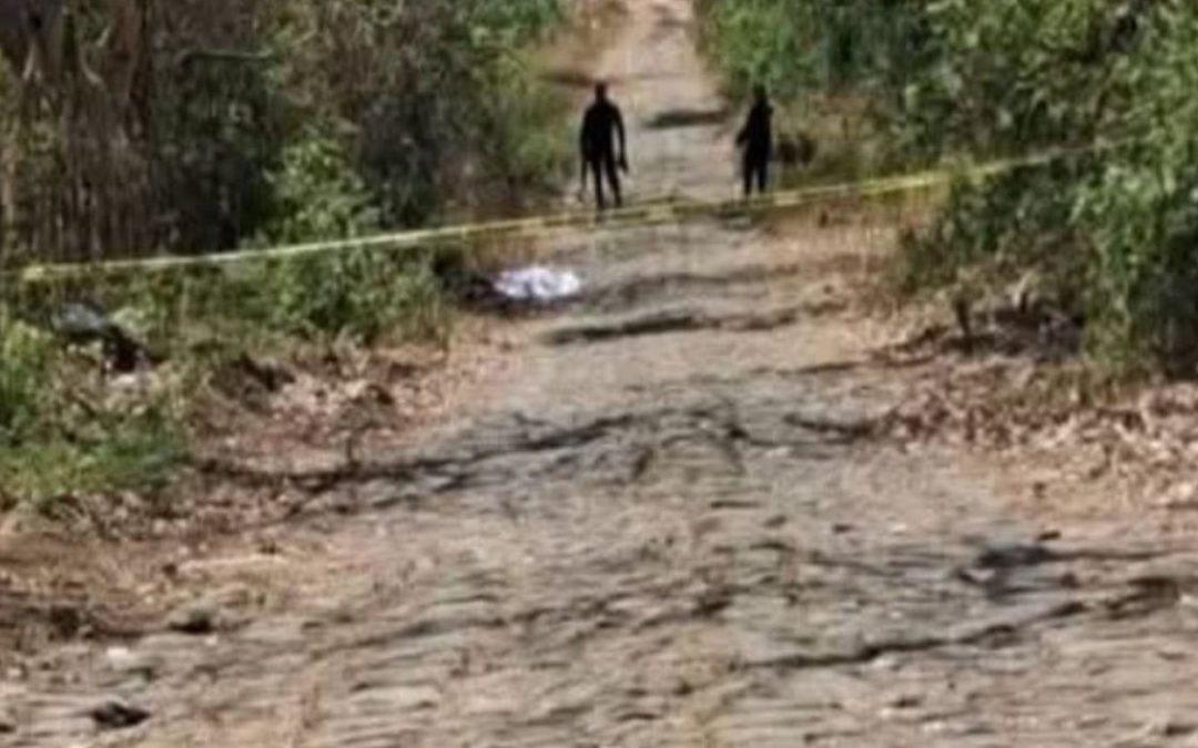 At least seven people have been found dead in recent weeks — Al menos siete personas han sido encontradas sin vida en las últimas semanas