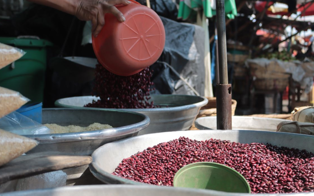 El Salvador to Maintain Basic Grains Deficit in 2026 — El Salvador mantendrá déficit de granos básicos en 2026