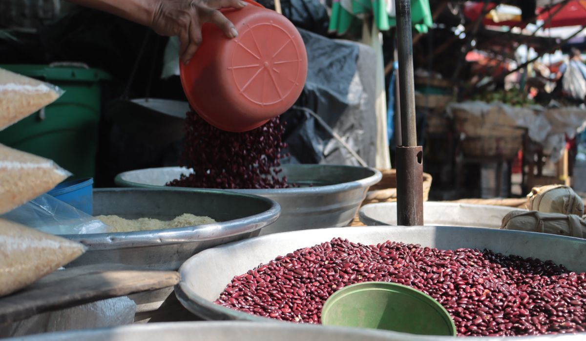 El Salvador to Maintain Basic Grains Deficit in 2026 — El Salvador mantendrá déficit de granos básicos en 2026