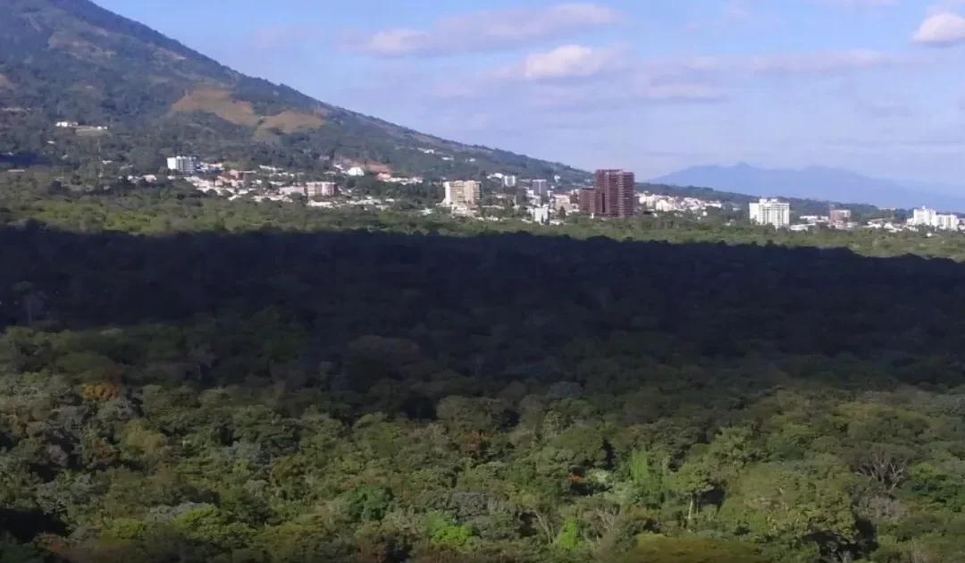 “In El Espino we want to expand the protected area and reduce the developable zone,” young people collect more signatures, ask that CIFCO not be built in El Espino — “En El Espino queremos incrementar la zona protegida y reducir la urbanizable”, jóvenes recolectan más firmas, piden no se construya el CIFCO en El Espino