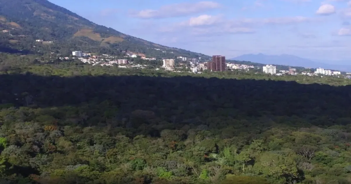 “In El Espino we want to expand the protected area and reduce the developable zone,” young people collect more signatures, ask that CIFCO not be built in El Espino — “En El Espino queremos incrementar la zona protegida y reducir la urbanizable”, jóvenes recolectan más firmas, piden no se construya el CIFCO en El Espino