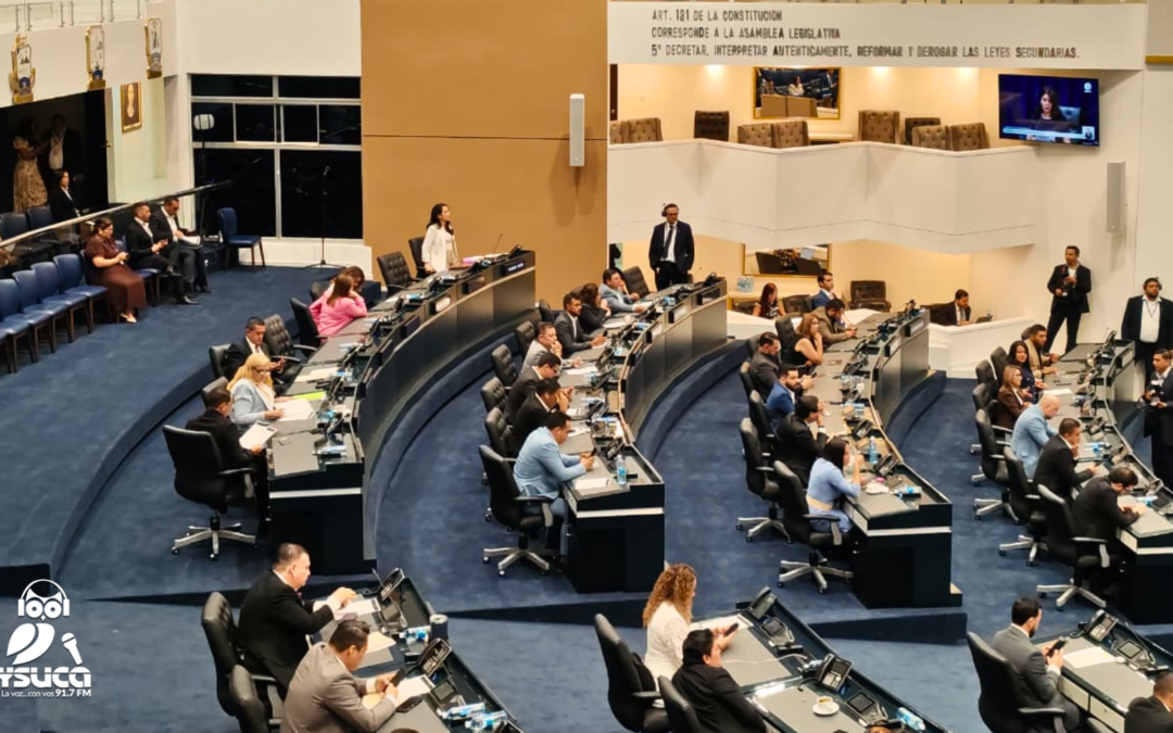 Questions Raised Over Criteria for Assigning Diaspora Lawmakers — Cuestionan criterios para asignar diputados de la diáspora