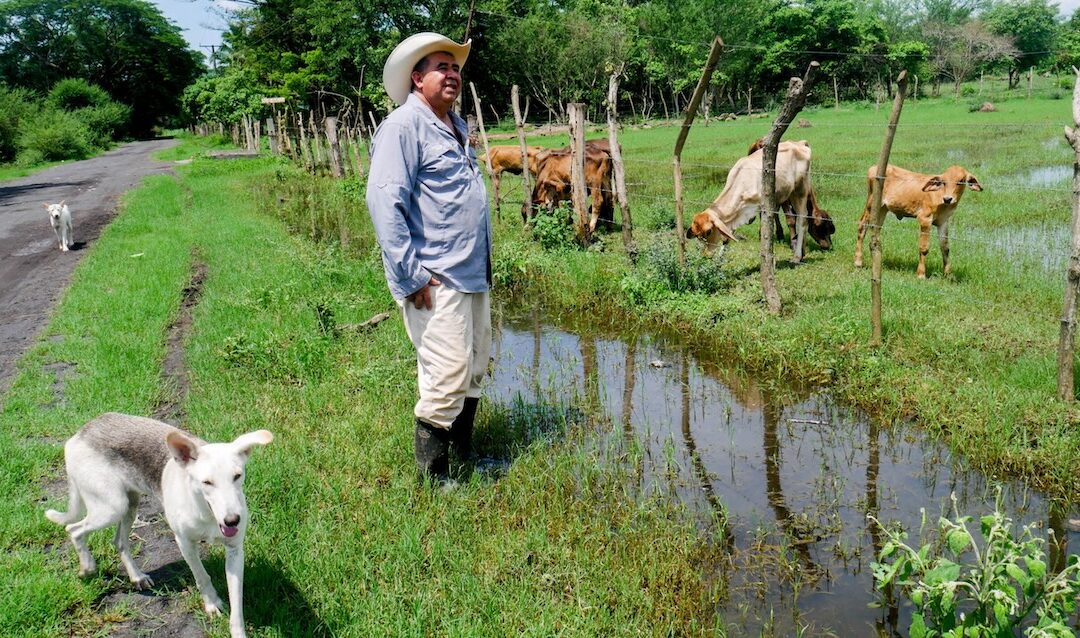 Up to 249,000 people could face food insecurity in El Salvador — Hasta 249 mil personas podrían enfrentar inseguridad alimentaria en El Salvador