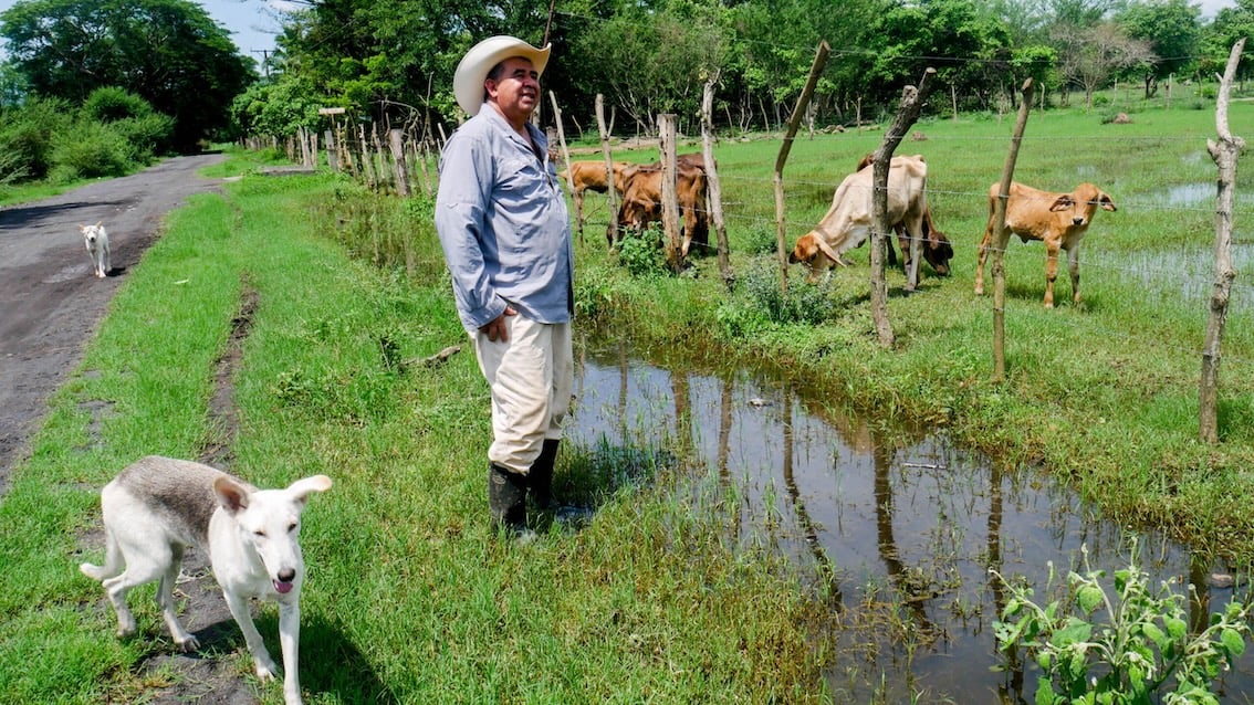 Up to 249,000 people could face food insecurity in El Salvador — Hasta 249 mil personas podrían enfrentar inseguridad alimentaria en El Salvador