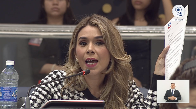 Lawmaker Villatoro Says Diaspora Representation Should Be Based on a Population Census — Diputada Villatoro dice representación de la diáspora debe basarse en un censo de población