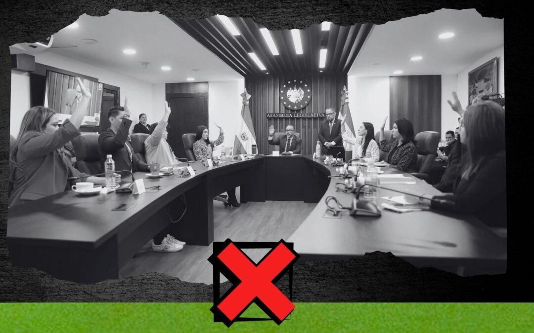 Nuevas Ideas spreads disinformation to justify constitutional reforms — Nuevas ideas desinforma para justificar reformas a la Constitución