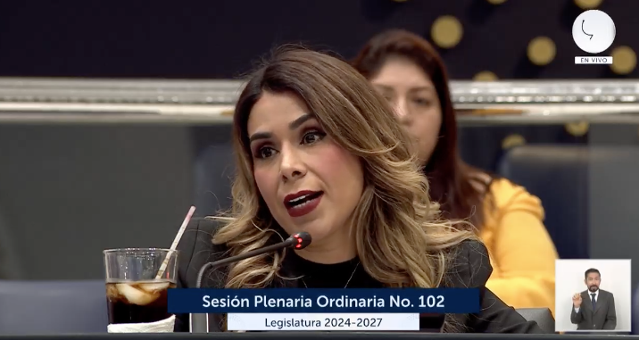 Lawmaker Villatoro Says ARENA Requested Legalization of 2 de Noviembre Community and Nuevas Ideas Denied the Votes — Diputada Villatoro dice Arena pidió legalización de comunidad 2 de noviembre y Nuevas Ideas negó los votos