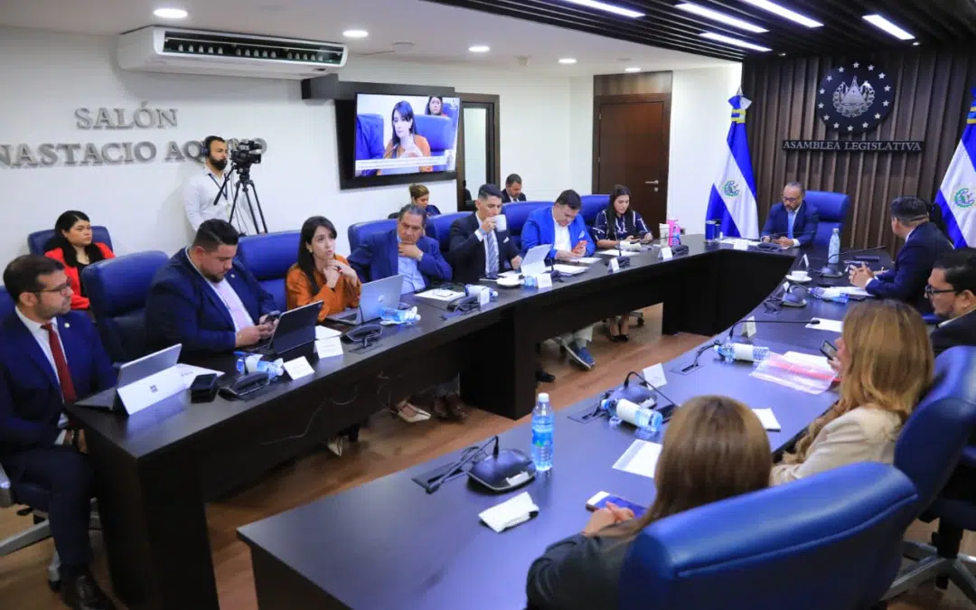 Nuevas Ideas Postpones Debate on Diaspora Seats in the Assembly — Nuevas Ideas pospone debate sobre escaños de la diáspora en la Asamblea