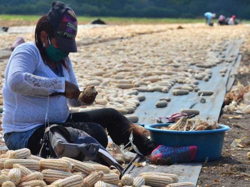 El Salvador has a smaller rural population and more expensive labor to produce food — El Salvador tiene menos población rural y mano de obra más cara para producir alimentos