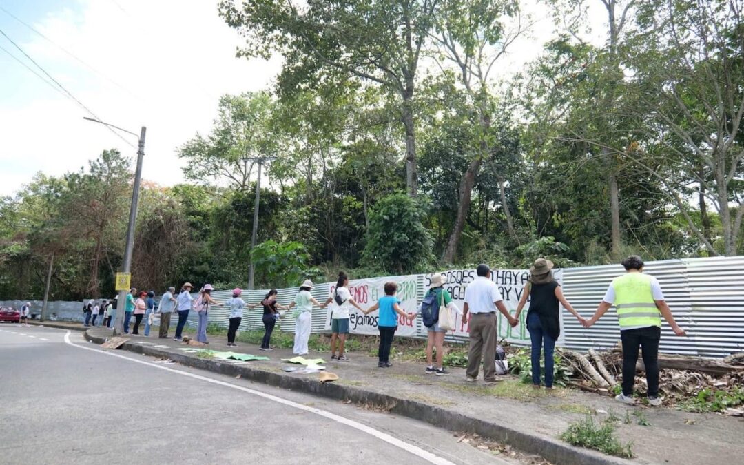 Youth drive viral campaign to block CIFCO construction in El Espino — Juventud impulsa campaña viral para frenar construcción del CIFCO en El Espino