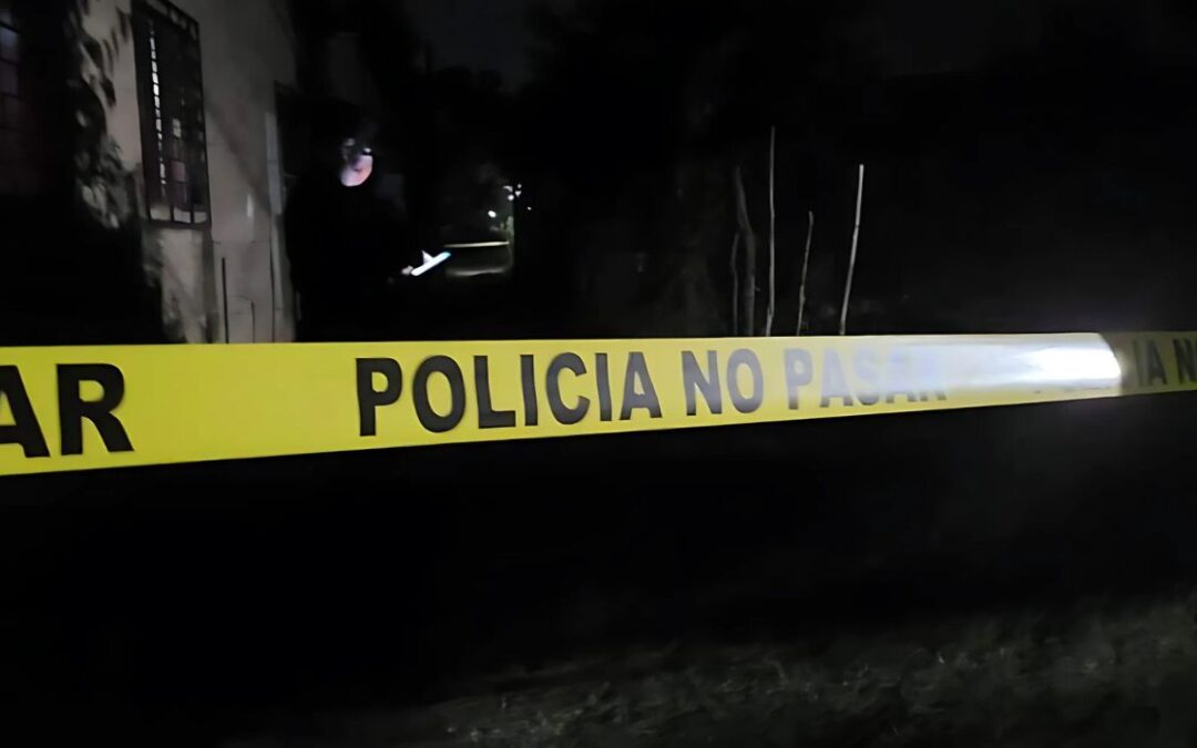 Four bodies reported found in recent days — Reportan cuatro hallazgos de cuerpos en los últimos días