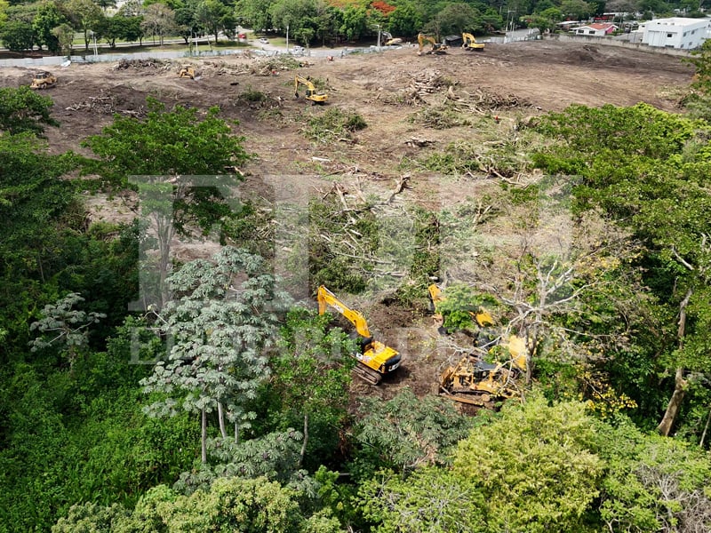 El Salvador lost 87,000 hectares of forest in 25 years, Risk Management Board warns — El Salvador perdió 87 mil hectáreas de bosque en 25 años, advierte Mesa de Gestión de Riesgos