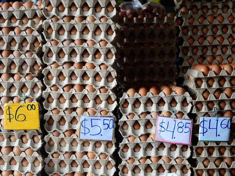 Central Market Vendor: “In the 50 years I’ve been here, I’ve never seen prices this high” — Vendedora del Mercado Central: “En 50 años que tengo aquí nunca había visto los precios así de altos”