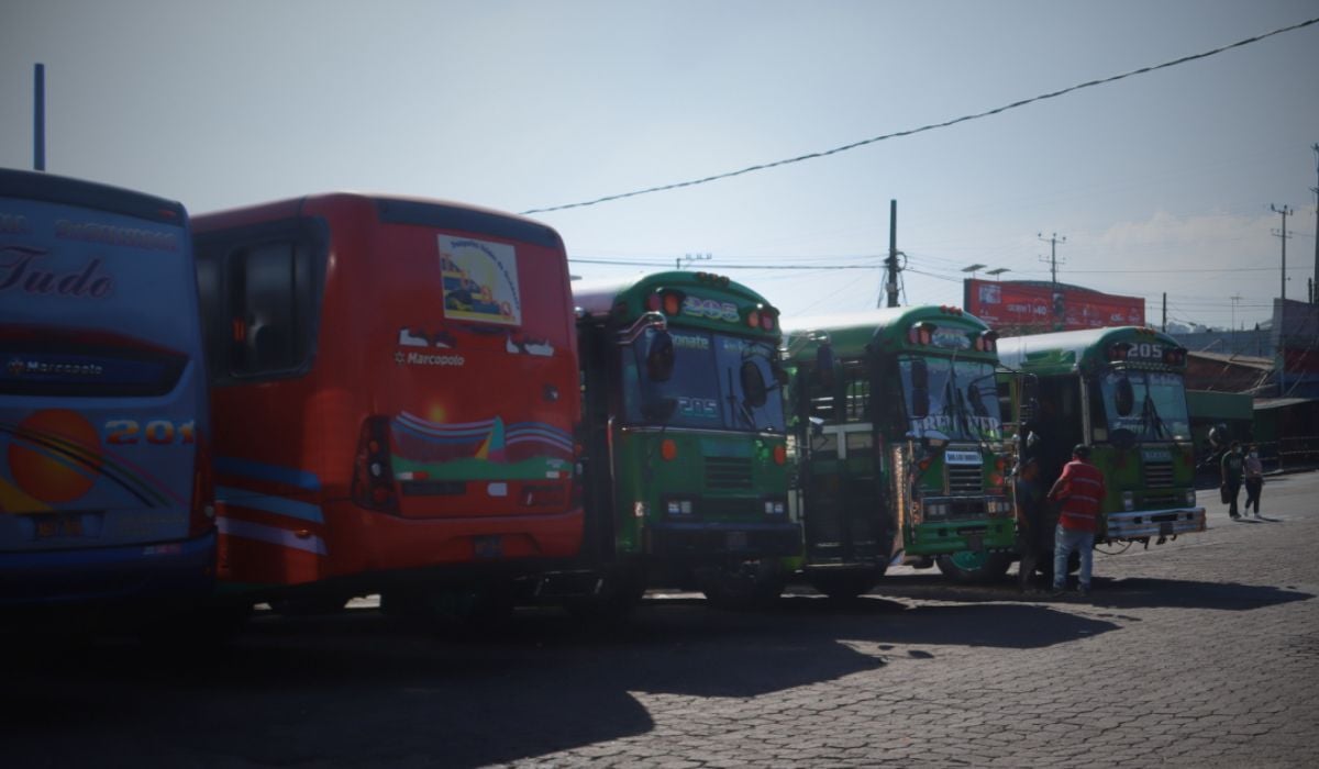 Transport Operators Request Dialogue with Government over Rising Operating Costs — Transportistas solicitan diálogo al Gobierno por alza en costos de operación