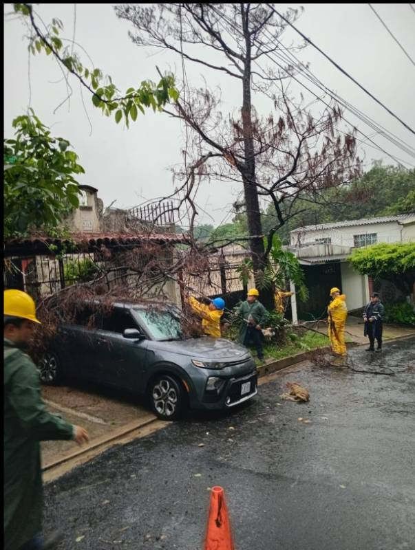 Storm Cristina damaged at least 195 homes in the country — Tormenta Cristina dañó al menos 195 casas en el país