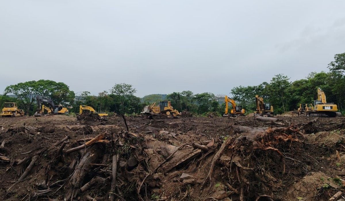 Nighttime tree felling in El Espino sparks public outrage — Tala nocturna en El Espino desata indignación ciudadana