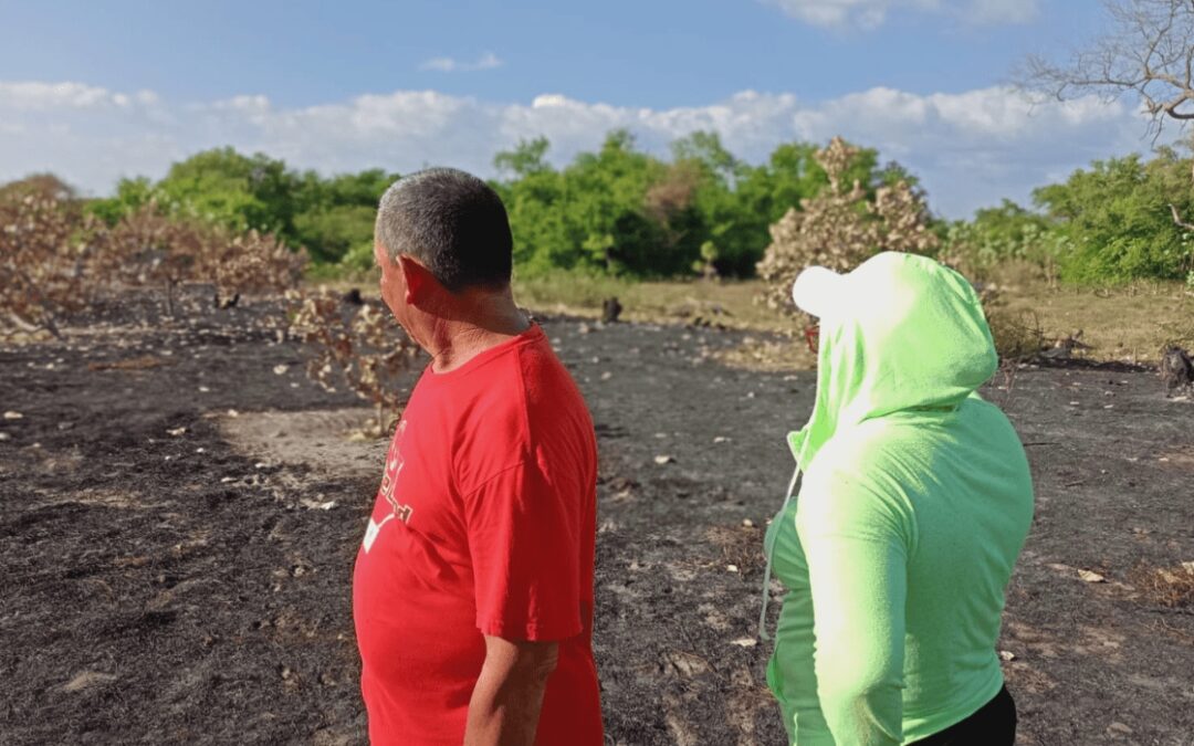 Citizens identify crop losses and rain-related risks as effects of climate change — Ciudadanos identifican la pérdida de cultivos y riesgos por lluvias como efectos del cambio climático