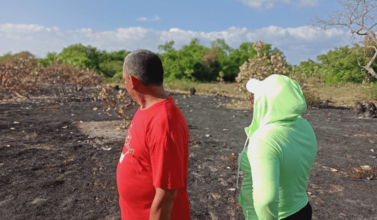 Citizens identify crop losses and rain-related risks as effects of climate change — Ciudadanos identifican la pérdida de cultivos y riesgos por lluvias como efectos del cambio climático
