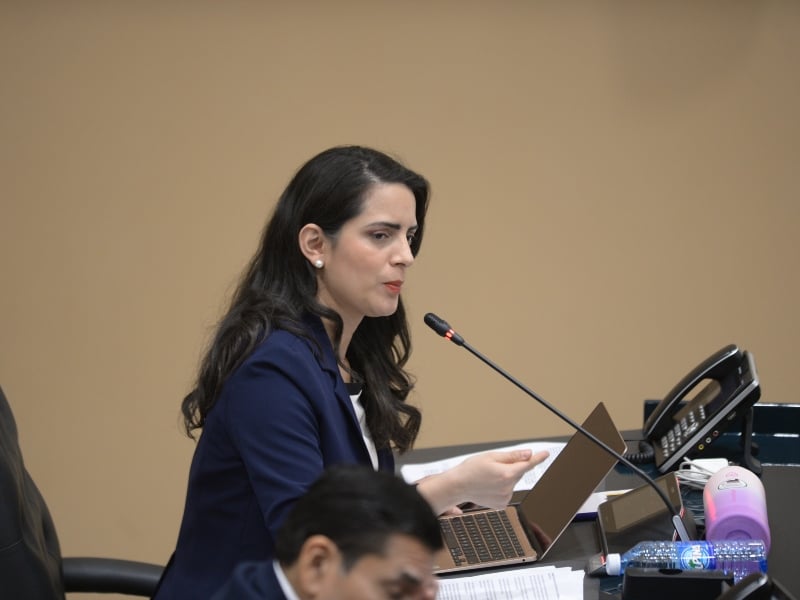 “Where are we going with VAMOS?” Claudia Ortiz reflects on her party — «¿Hacia dónde vamos con VAMOS?», reflexiona Claudia Ortiz sobre su partido