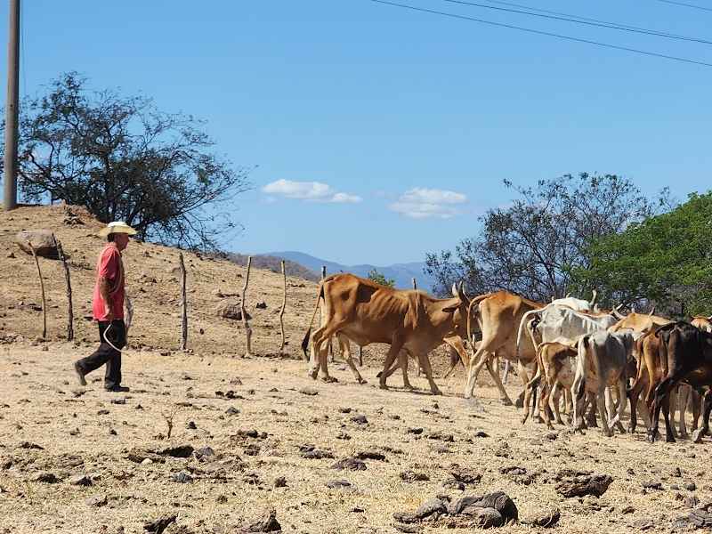 MARN: El Salvador with mild drought and temperatures of 39 °C — MARN: El Salvador con sequía débil y temperaturas de 39 °C