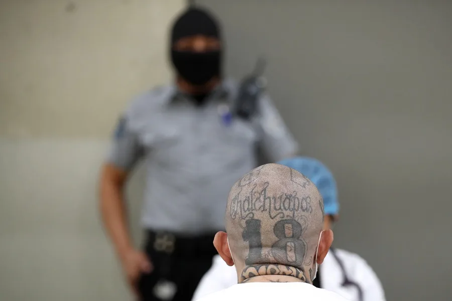 Deaths in El Salvador’s prisons under the state of exception rise to 547, according to NGO Deaths in El Salvador's prisons under the state of exception rise to 547, according to NGO