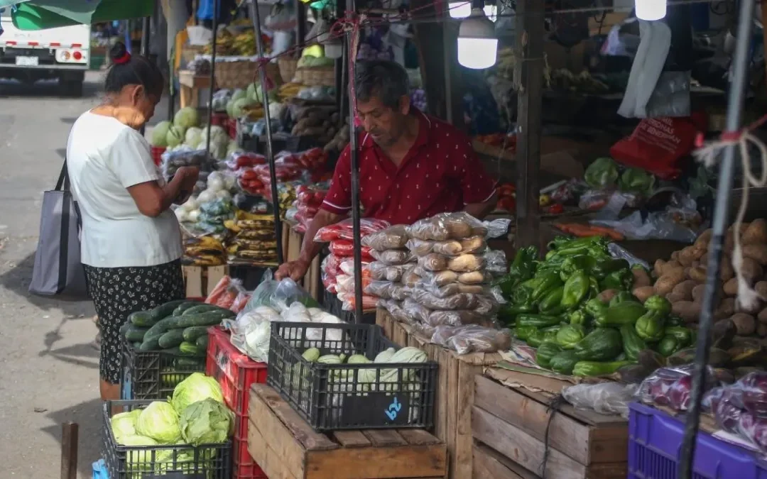 Basic food staples in El Salvador rise for sixth straight month — La canasta básica en El Salvador suma seis alzas consecutivas