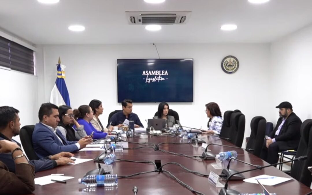 Legislative committee draws scrutiny over absent lawmaker’s vote being counted — Comisión legislativa genera cuestionamientos por voto incorporado de diputada ausente