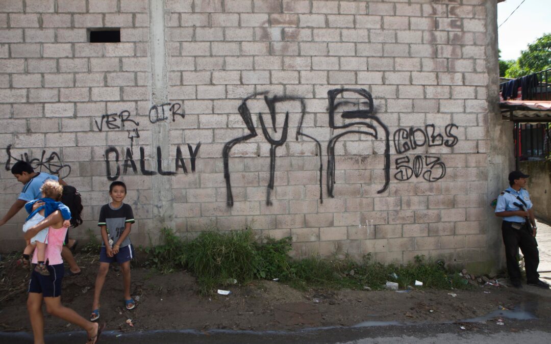 Mara Salvatrucha Gang Members Say They Buried 200 People in Bukele’s Political Birthplace — Pandilleros de la Mara Salvatrucha afirman que sepultaron a 200 personas en la cuna política de Bukele