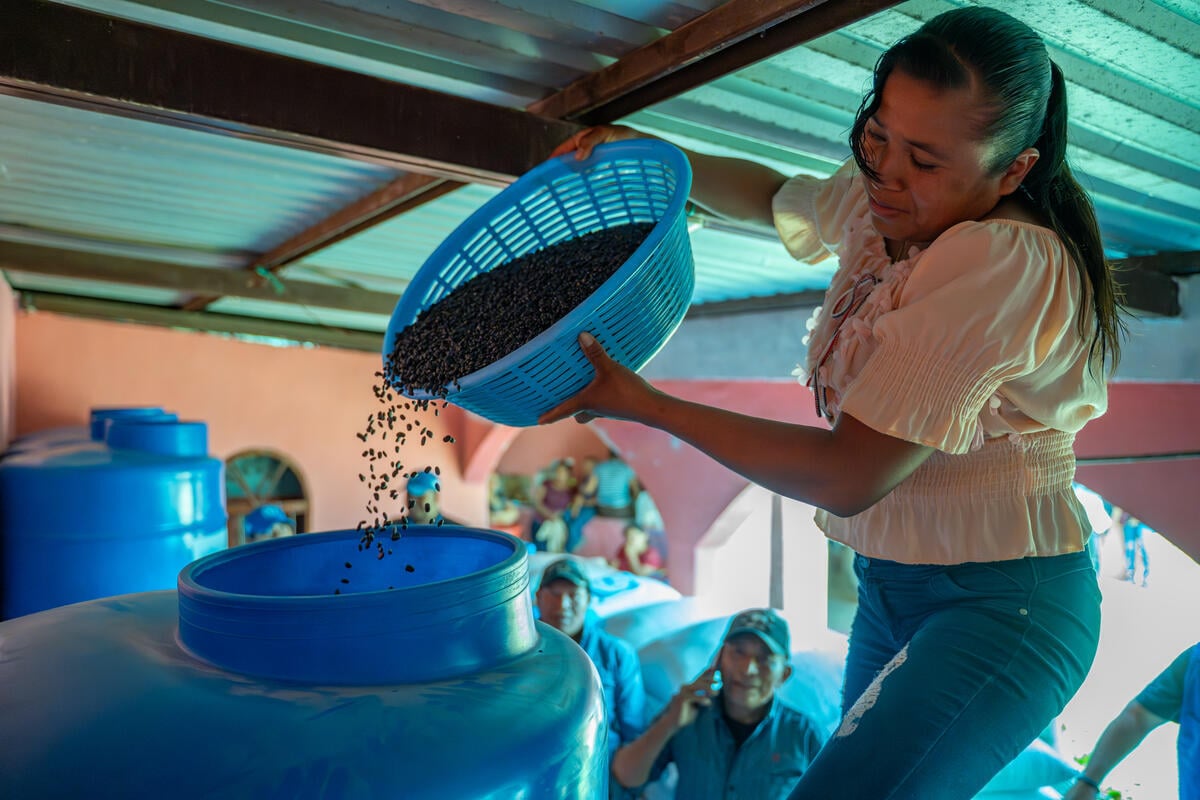 World Food Programme ramps up preparedness and response plans as El Niño threatens to push tens of millions into acute hunger — El Programa Mundial de Alimentos intensifica sus planes de preparación y respuesta mientras El Niño amenaza con empujar a decenas de millones de personas al hambre aguda