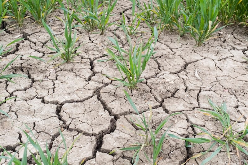 Energy prices, lower external demand and El Niño threaten El Salvador’s growth — Precios de energía, menor demanda externa y El Niño amenazan crecimiento de El Salvador