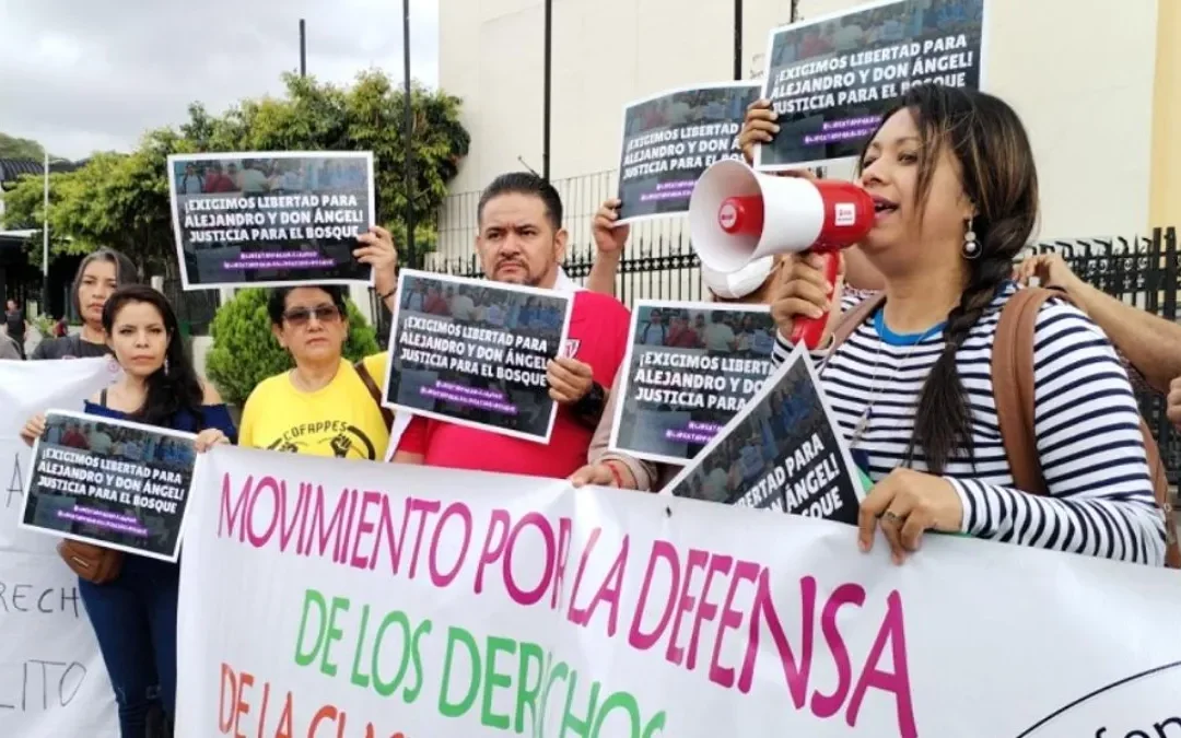 2,041 attacks documented against Salvadoran women human rights defenders on social media — Documentan 2,041 agresiones contra defensoras salvadoreñas en redes sociales