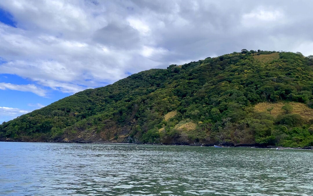 Friends and associates of the Bukeles: the new large landowners of the Gulf of Fonseca and other natural areas — Amigos y socios de los Bukele: los nuevos latifundistas del golfo de Fonseca y otras áreas naturales