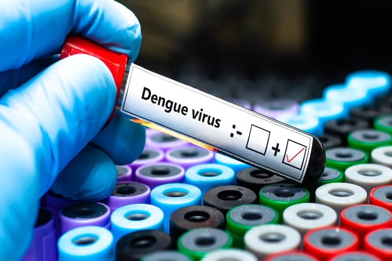 Health Ministry confirms third dengue death in El Salvador as confirmed cases rise to 48 — Salud confirma tercera muerte por dengue en El Salvador y casos confirmados suben a 48
