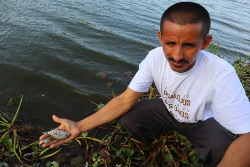 Citizen movement asks Environment Ministry to investigate fish die-off in Olomega Lagoon — Movimiento ciudadano pide a ministerio de Medio Ambiente que investigue mortandad de peces en la laguna de Olomega