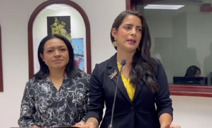 Schism in Vamos party deepens with parallel leaderships — El cisma en el partido Vamos se profundiza con dirigencias paralelas